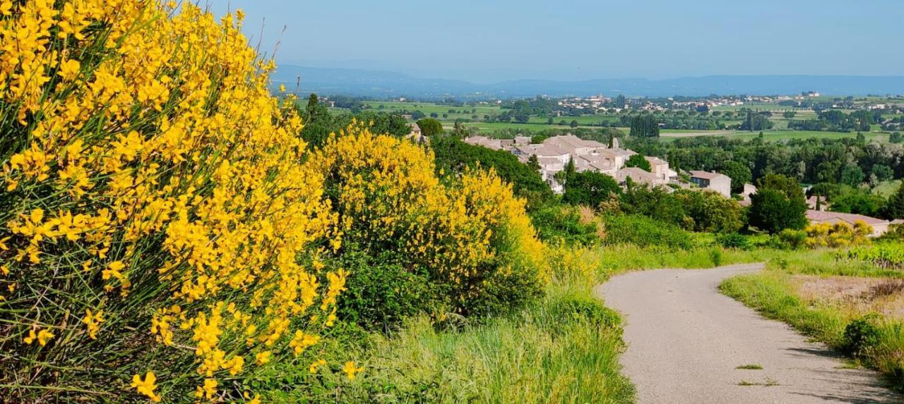Maison De Village En Provence Avec Terrasse De 33M2 Saint-Roman-de-Malegarde Eksteriør bilde